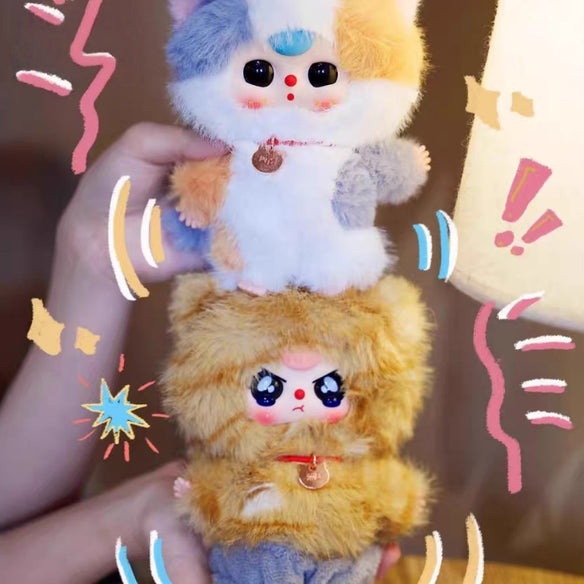 [Box15]Baby Three - Whose Cat is This