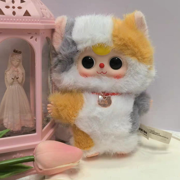 [Box15]Baby Three - Whose Cat is This