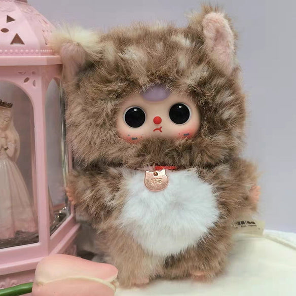 [Box15]Baby Three - Whose Cat is This